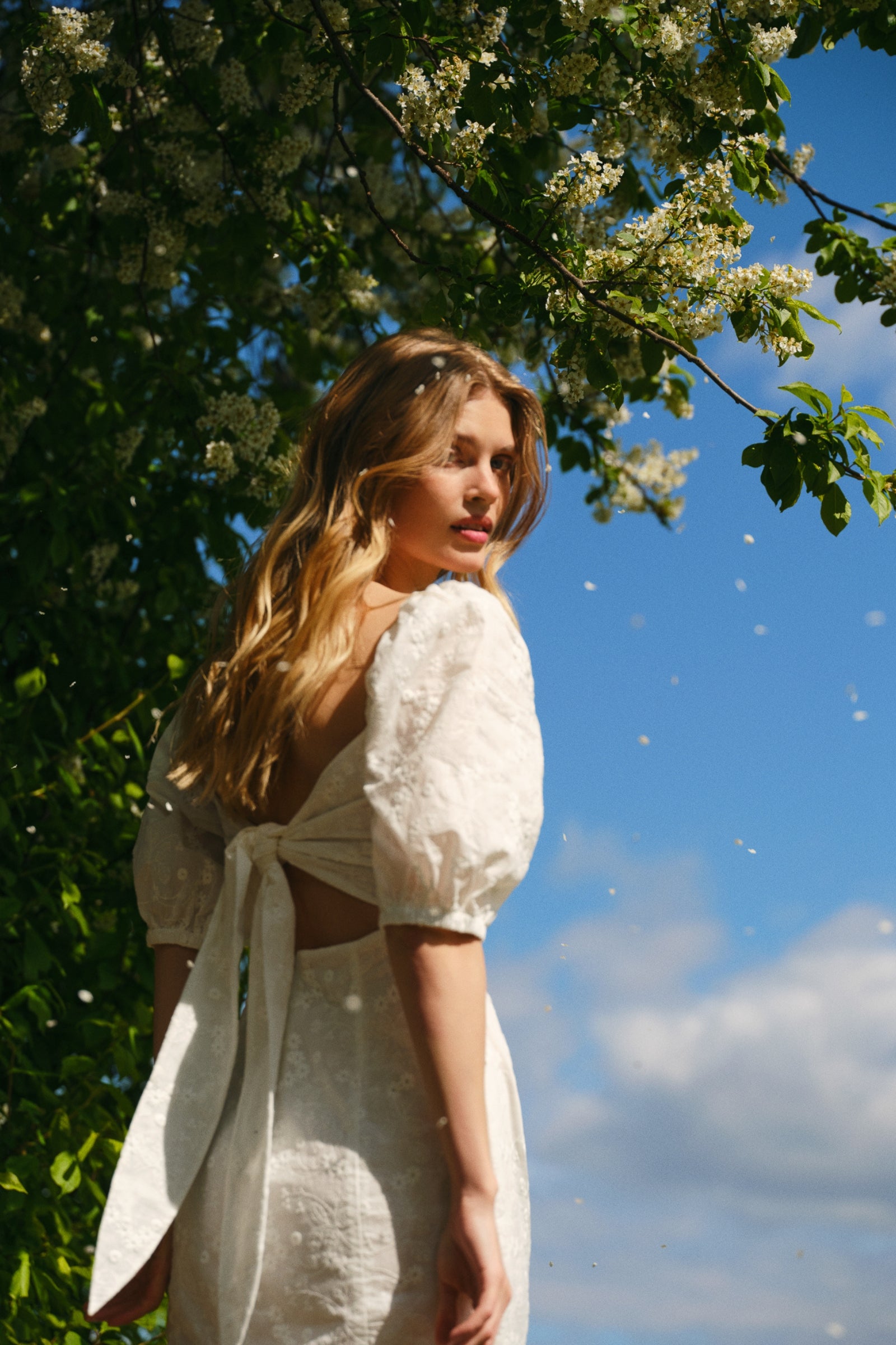 Vercelli Dress image