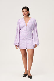 Florenzkleid thumbnail image
