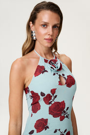 Rozzano Maxi Dress thumbnail image