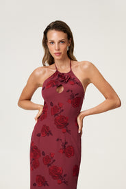 Rozzano Maxi Dress thumbnail image