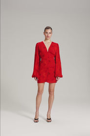 Florenzkleid thumbnail image