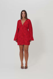 Florenzkleid thumbnail image